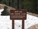 PICTURES/Sequoia National Park/t_Auto Log Sign.JPG
